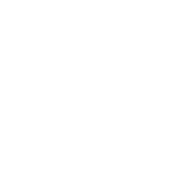 Osteopatia Visceral